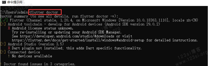flutter doctor